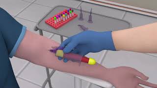 Online Phlebotomy Training Program [upl. by Anwahsar]