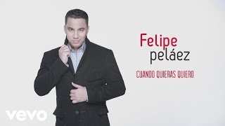 Felipe Pelaez  Cuando Quieras Quiero Cover Audio [upl. by Chill]