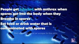 What is anthrax [upl. by Utley69]