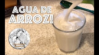 Agua de Arroz  Agua de Horchata [upl. by Hengel]