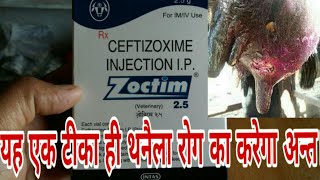 पशुओं को थनैला रोग mastitis prolapse हर तरह की infection से राहत दिलाएगा ये अकेला टीका। [upl. by Volney]