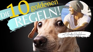 Die 10 goldenen Regeln der Hundeerziehung ProfiTipps [upl. by Nerrol]