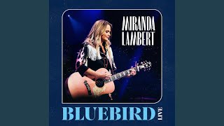 Bluebird Live [upl. by Butler]