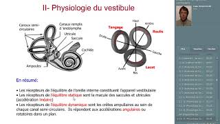 le système vestibulaire [upl. by Spoor9]