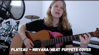 Plateau  NirvanaMeat Puppets Cover [upl. by Vidda]