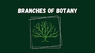 Branches of Botany l Lecture  02 l Botany Basics [upl. by Aihselat]