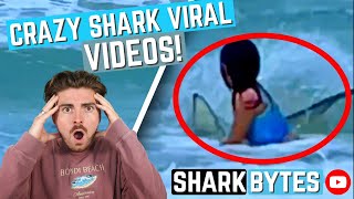 CRAZY Shark Viral Videos [upl. by Palermo]