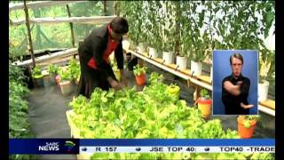 A farmer in central Kenya is changing farming [upl. by Toole90]