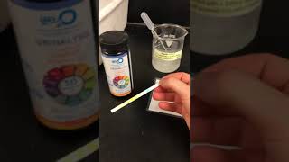 Lactase Enzyme Lactaid Dairy Relief Lab Part 1 [upl. by Mile]