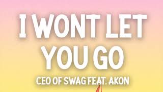 CEO of SWAG  I Wont Let You Go  SMOOTHLY LOOPED [upl. by Harts]