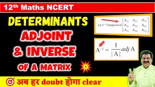 10 Adjoint amp Inverse of Matrix Determinants NCERT Class 12 Maths Adjoint of a Matrix Inverse [upl. by Redna738]