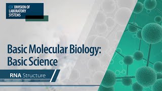 Basic Molecular Biology Basic Science – RNA Structure [upl. by Ileane]