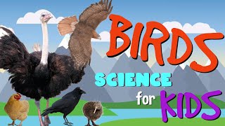 Birds  Science for Kids [upl. by Gianina]