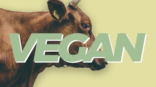 Heres why we need to rethink veganism [upl. by Sirehc]