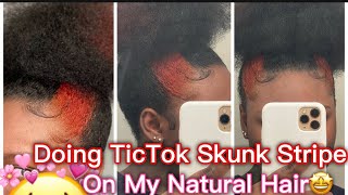 Tic Tok Skunk Stripe On Natural Hair [upl. by Neibart]