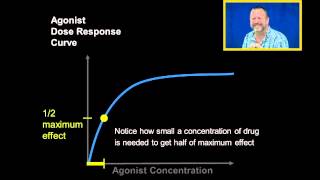 Agonist Dose Response Curves [upl. by Georgeanne]