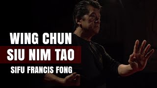 Wing Chun Siu Nim Tao  Sifu Francis Fong [upl. by Shih]