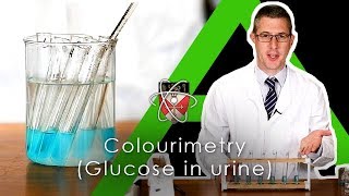 Colourimetry testing for glucose in urine  Biology Alevel Required Practical [upl. by Airdnahc137]