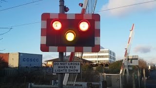 Rare Request Crossing at Manor Way Level Crossing London [upl. by Winni250]