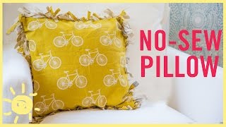 DIY  NoSew Pillow [upl. by Egor]