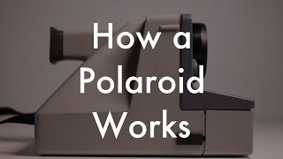 How Does a Polaroid Work [upl. by Duwad]