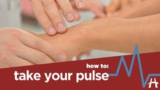 How to take your pulse [upl. by Olram]