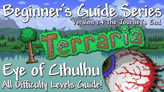 Terraria Boss Battles and Strategies [upl. by Anaes]