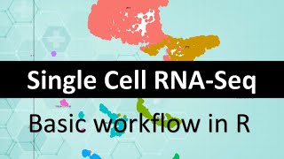 Single Cell RNASeq full workflow in R  public data to classified UMAP in 30 mins [upl. by Xenos]