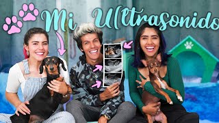 SI ESTOY EMBARAZADA MI NUEVA HABITACIÓN  POLINESIOS VLOGS [upl. by Glaser]