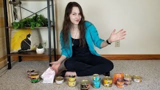 Top 11 Best Wet Cat Foods We Tested Them All [upl. by Aidul]