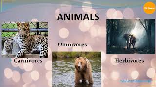 Animals Herbivores Carnivores Omnivores and Scavengers [upl. by Garek]