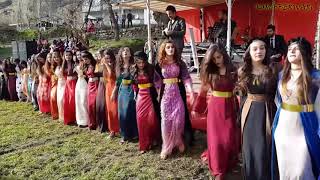 Kurdish Dance  Baile kurdo [upl. by Dougal404]