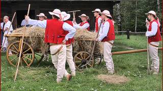 W ciemnym lasku  Polska piosenka ludowa Polish folk song [upl. by Wescott966]