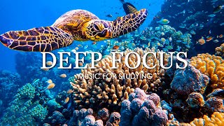 Deep Focus Music To Improve Concentration  11 Hours of Ambient Study Music to Concentrate 13 [upl. by Rollo]