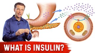 What Is Insulin – Dr Berg [upl. by Akcebar774]