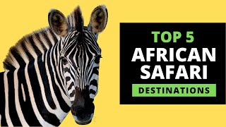 AFRICAN SAFARI DESTINATIONS  Top 5 Most Popular with prices [upl. by Ahsenac]