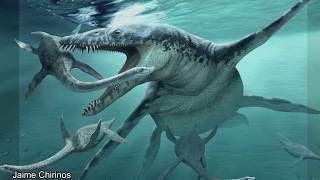 Liopleurodon And The Pliosaurs [upl. by Davidde]