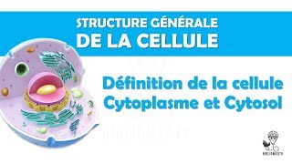 Structure Générale de la Cellule  Définition de la Cellule Cytoplasme Cytosol [upl. by Madelin]