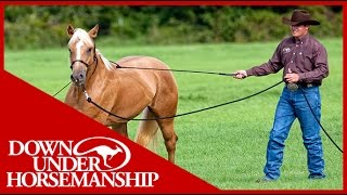 Clinton Anderson Training a Rescue Horse Part 1  Downunder Horsemanship [upl. by Pavlish477]