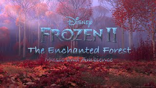 The Enchanted Forest  Frozen II Music amp Ambience [upl. by Ahrat]