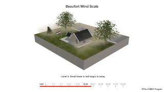 Beaufort Scale Wind Speed Example [upl. by Leorsiy]