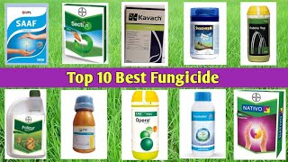 Top 10 Best Fungicide [upl. by Annauj814]