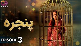 Pakistani Drama  Pinjra  Episode 3  Aplus Gold  Yumna Zaidi Nauman Aijaz  CZ1O [upl. by Nirred992]