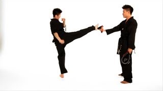 How to Do a Roundhouse Kick  Taekwondo Training [upl. by Samohtnhoj262]