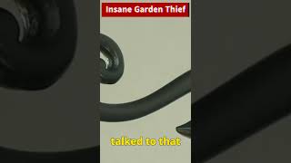 Garden Thief Caught on Camera [upl. by Haggerty]