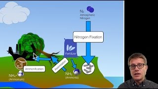 Biogeochemical Cycles [upl. by Erdua720]