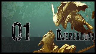 Overgrowth Gameplay Lets Play Part 1 I KNOW KUNG FU  SPECIAL FEATURE [upl. by Airotel18]