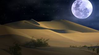 HOWLING DESERT WINDS  Howling Wind Sounds for Sleep amp Relaxation [upl. by Llib]