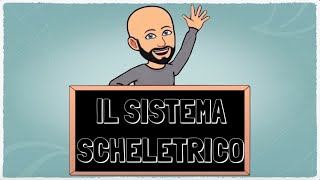 Il sistema scheletrico [upl. by Penny]