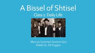 A Bissel of Shtisel pt 1  Daily Life [upl. by Einehpets]